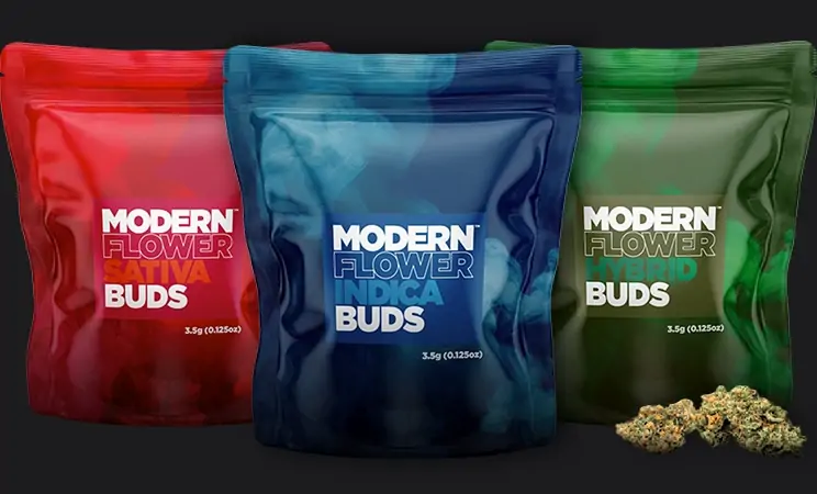 Modern Flower Buds