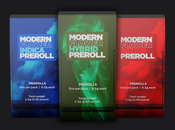 Modern Flower Multi-Pack